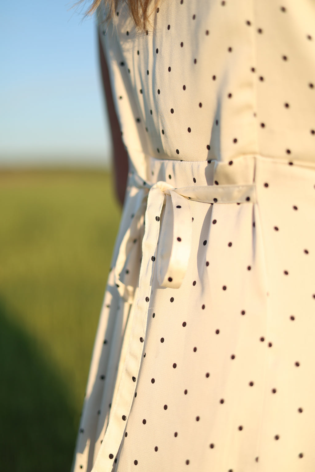 The Darling Dot Dress