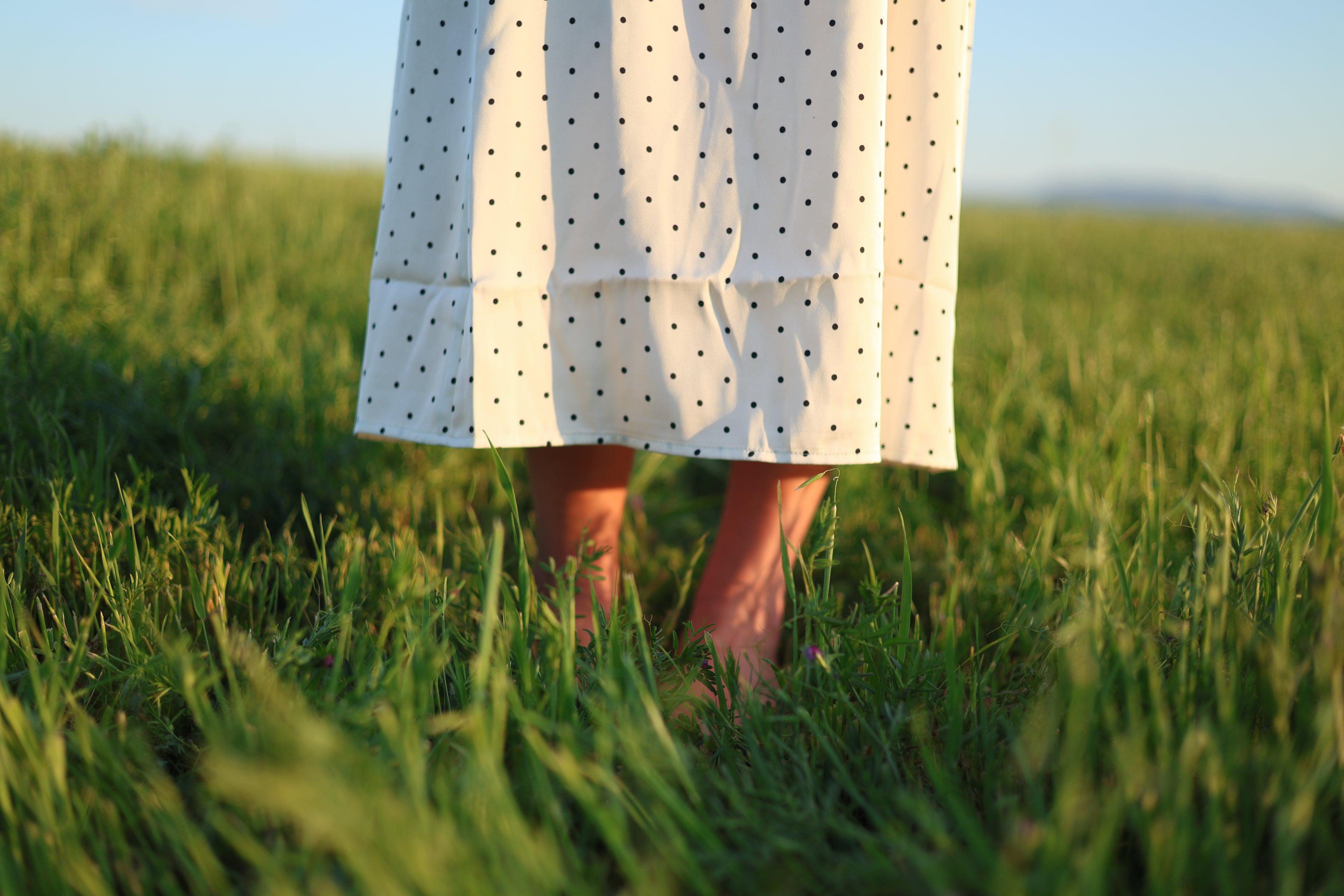 The Darling Dot Dress