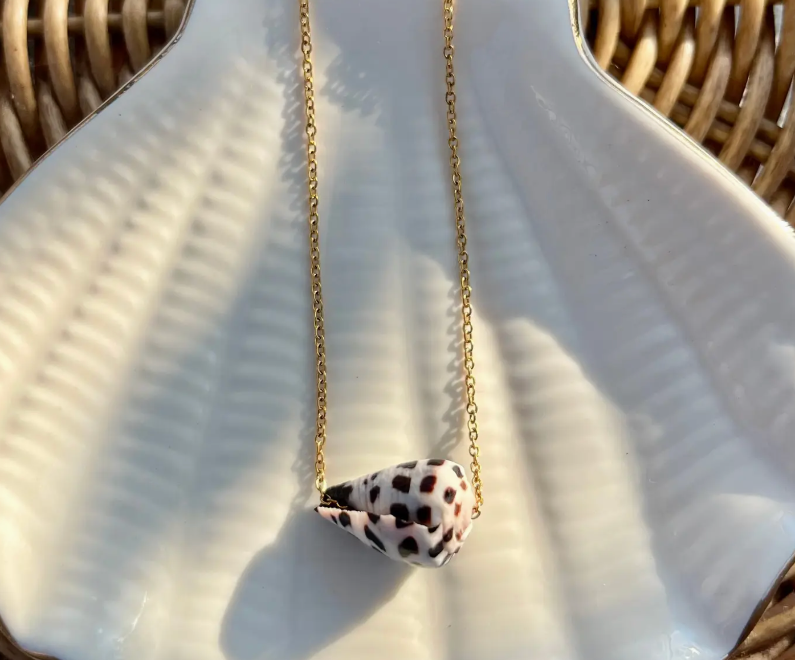 Hebrew Cone shell Necklace